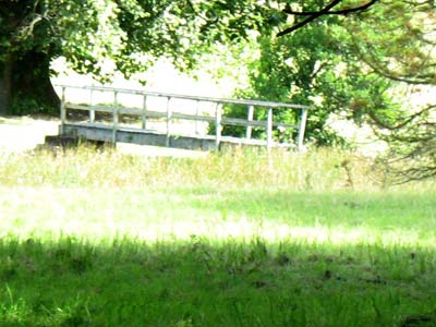 Eslington Park Footbridge East