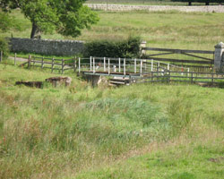 Eslington West Lodge Footbridge