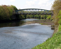 Fatfield Bridge from the east
