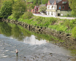 River Wear from Fatfield Bridge