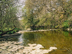 South Tyne near the footbridge