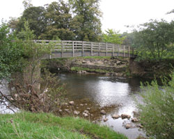 Featherstone Footbridge from northwest bank