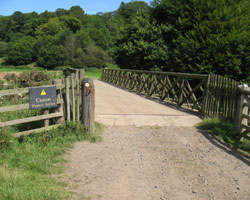 Filbert Haugh Bridge Hulne Park