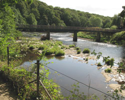 Finchale Footbridge