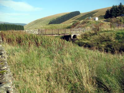Fingland Bridge