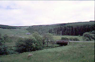 Forestry Bridge