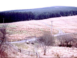 Forestry Bridge
