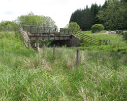 Forestry Bridge