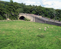 Frosterley Bridge