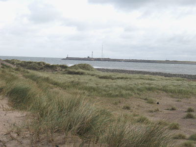 The South Gare