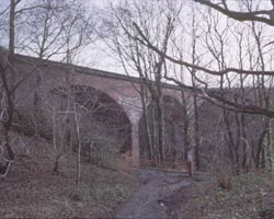 Rowlands Gill Railway Viaduct from valley