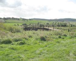 Rothbury Golf Club Bridge