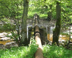 Pipeline east of Haswicks Bridge