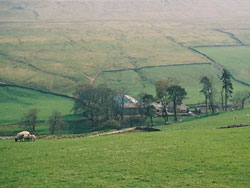 Hole House from road