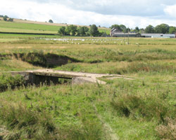 Mount Hooley Footbridge