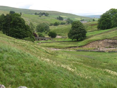 Heathery Bridge from the west