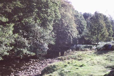 Footbridge near Hunstanworth