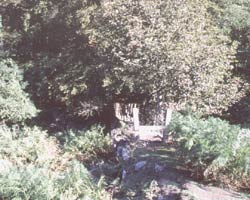 Footbridge near Hunstanworth