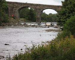 Haltwhistle Railway Viaduct (Alston Arches) - from the east