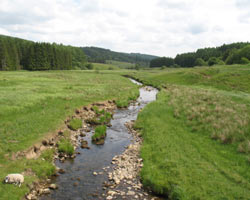River North Tyne from Kerseycleugh Bridge looking east