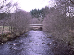Kielder Bridge from Kielder Burn