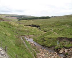 Near Killhope Cross - one of the streams forming the Killhope Burn