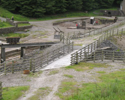 Killhope Mine Bridge
