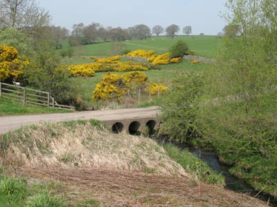 Kirkwhelpington Farm Bridge