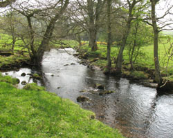 The Wansbeck near Kirkwhelpington A696 Bridge