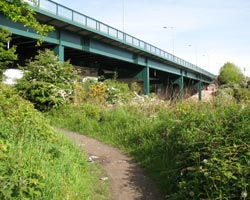 Kitty brewster Bridge - eastern section