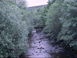 The Kielder Burn