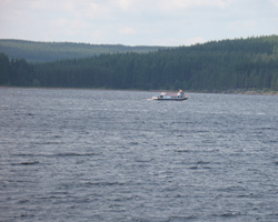 The Osprey ferry