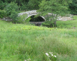 Lady's Bridge