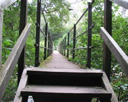 Lambley Footbridge