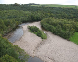 Lambley Viaduct - view from the top