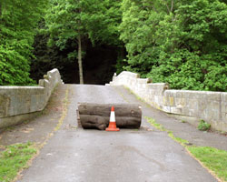 Lamb Bridge