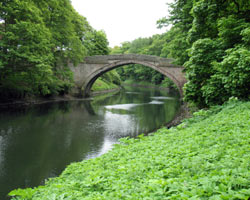 Lamb Bridge