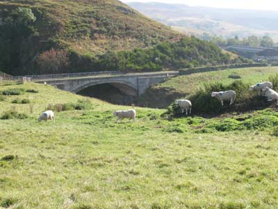Limbriggs Bridge