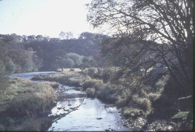 The Derwent near Lintzford