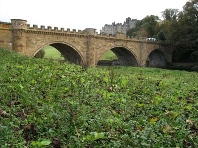 Lion Bridge Alnwick