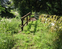 Little Ryle Ford Footbridge