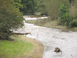Lintzford Mill Weir