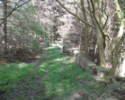 Long Plantation Bridge