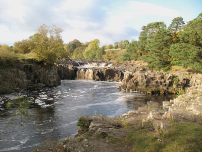 Low Force