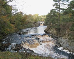 Low Force