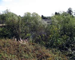 Low Hall, Hurworth