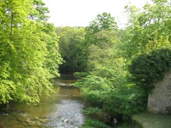 River Wansbeck