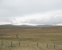 The Tees near Moor House Bridge