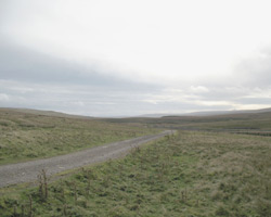 The Track from Garrigill leading to Moor House Bridge
