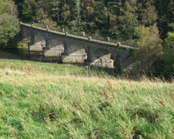 Neidpath Viaduct